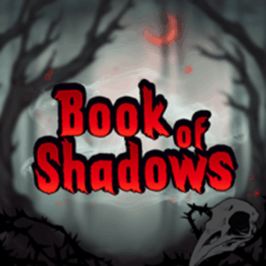 Book Of Shadows 300x300