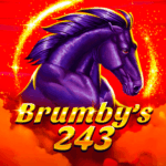 Brumby S 243 150x150