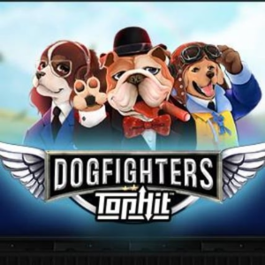 Dogfighters 300x300