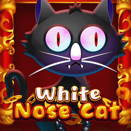 White Nose Cat
