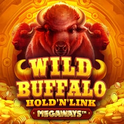 Wild Buffalo Hold N Link Megaways