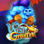 Wish Granted 150x150